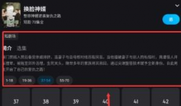 能看的视频,精选视频内容概览